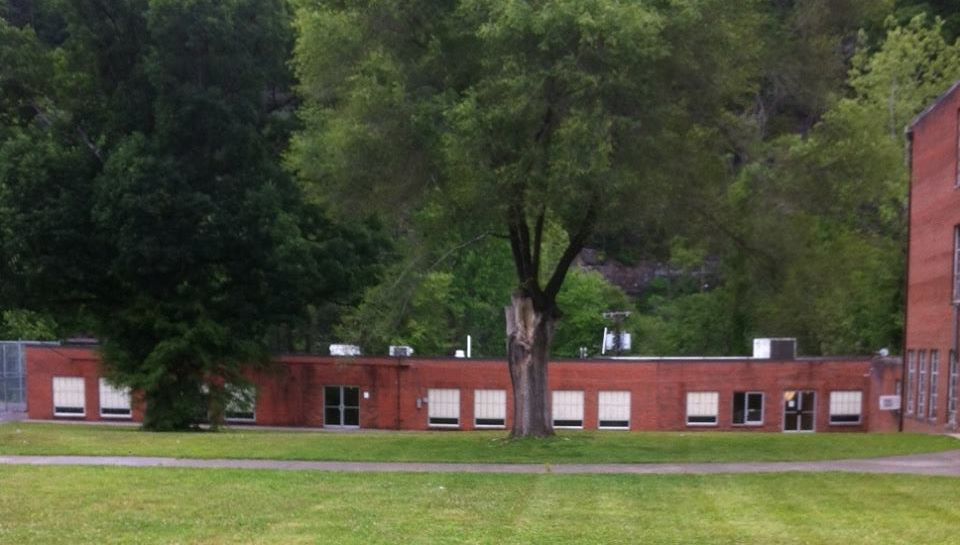 Pineville Library